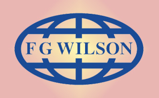✓ FG-Wilson 10000-00270 Форсунка 